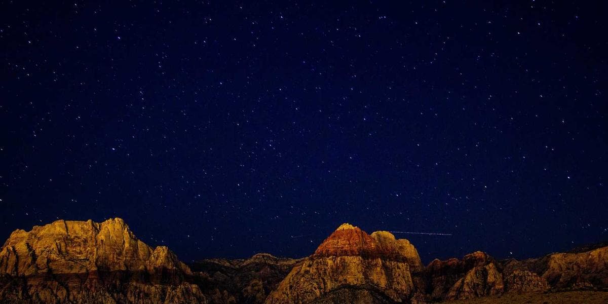 神经接口的未来