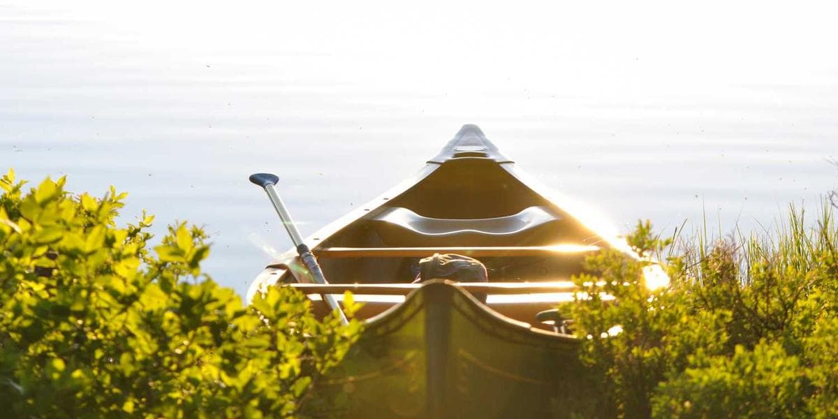 可持续能源:固态革命